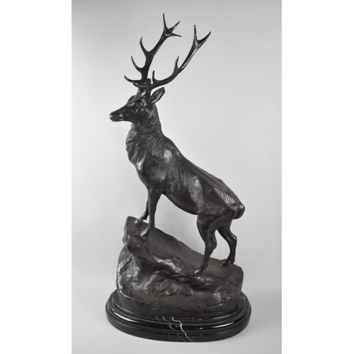 68 - A Large and Impressive Patinated Bronze Study of a Stag on Rock, Set on Oval Stepped Marble Plinth, ... 