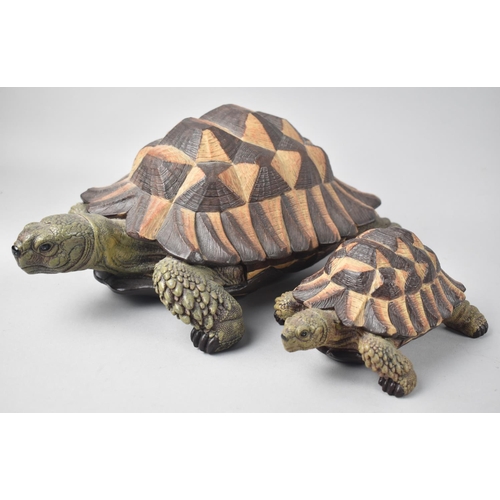 97 - Two Carved Wooden Studies of Giant Tortoises, Largest 30cms Long