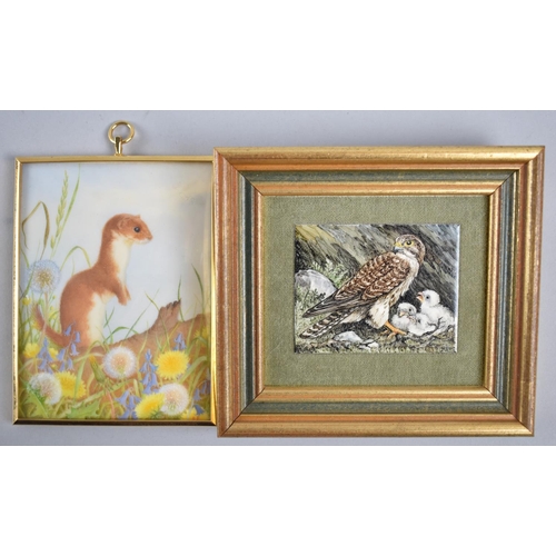 98 - A Brass Framed Miniature Watercolour of a Weasel together with an Enamel on Copper of Kestrel Family