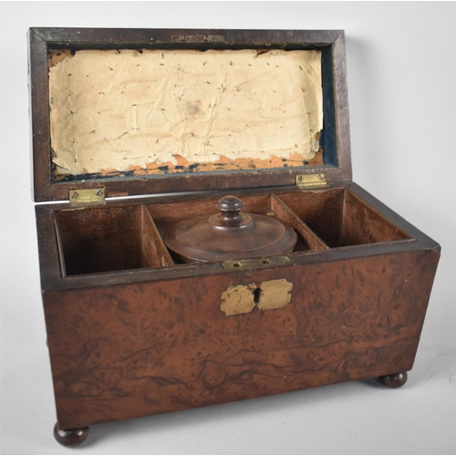 16 - A 19th Century Burr Walnut Two Division Tea Caddy of Sarcophagus Form, Hinged Lid (AF) to Fitted Int... 