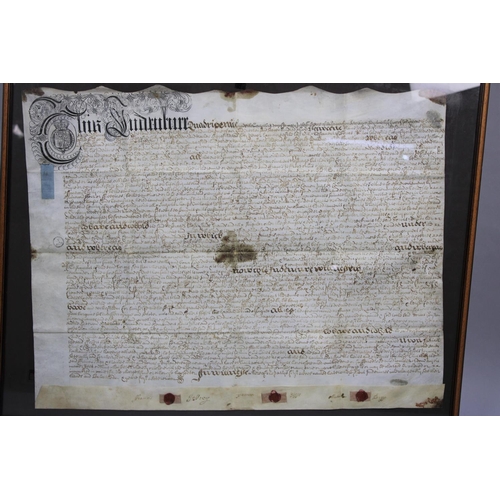 220 - A Large Framed 1702 Indenture Relating to York, 73x55cms, With Seal