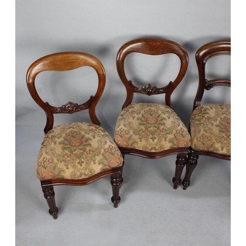 453 - A Harlequin Set of Four Mahogany Balloon Back Victorian Dining Chairs