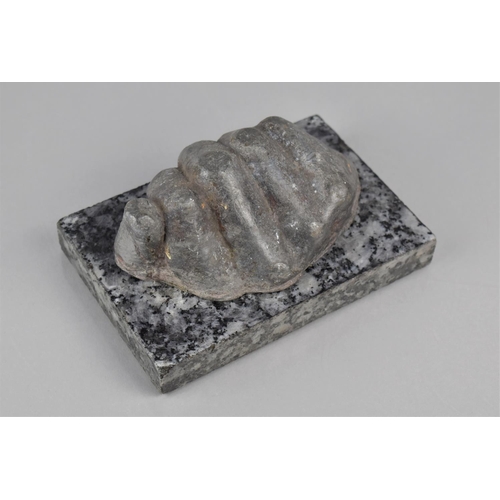 197 - A Mid 20th Century Lead Sculpture of a Life size Human Fist, Mounted on a Granite Plinth, 10x15x7cms... 