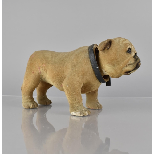 69 - An Early 20th Century French Papier Mache Bulldog with Articulated Head, 23cm Long and 14cms High