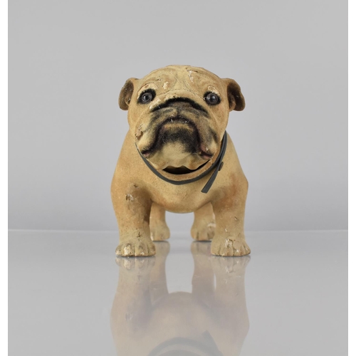 69 - An Early 20th Century French Papier Mache Bulldog with Articulated Head, 23cm Long and 14cms High