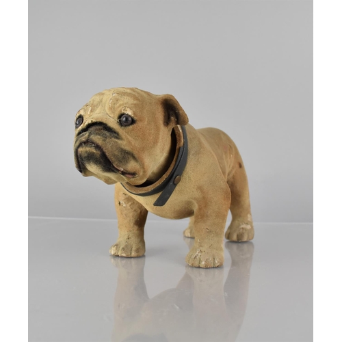 69 - An Early 20th Century French Papier Mache Bulldog with Articulated Head, 23cm Long and 14cms High