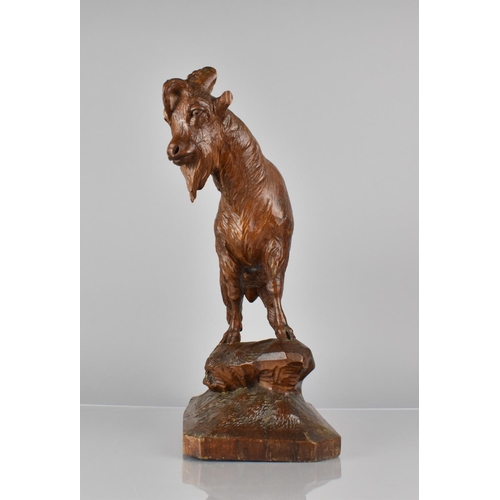 64 - An Oversized 19th Century Black Forest Carved Linden Wood Chamois Standing on a Rocky Outcrop, 14x28... 