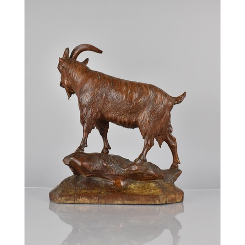 64 - An Oversized 19th Century Black Forest Carved Linden Wood Chamois Standing on a Rocky Outcrop, 14x28... 