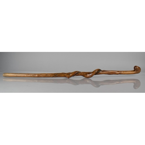 165 - A 19th Century or Earlier Hedgerow Walking Stick with a Natural Twisted Shaft, 81cms Long