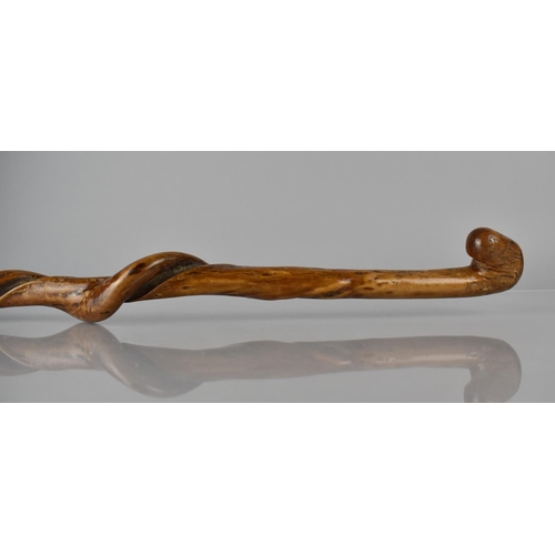 165 - A 19th Century or Earlier Hedgerow Walking Stick with a Natural Twisted Shaft, 81cms Long