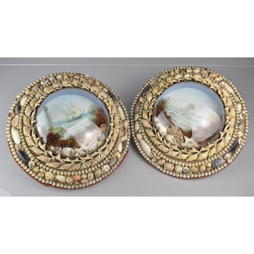 486 - A Pair of Early 20th Century Sailor's Valentines with a Convex Glass Surrounded by a Seashell Decora... 