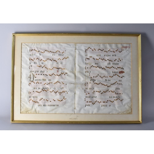 489 - A 17th Century Hand Illustrated Antiphonal Musical Manuscripts on Vellum, in a Later Gilt Frame, 54x... 