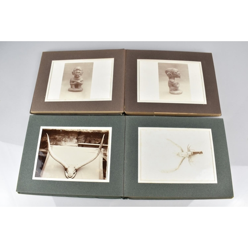 150 - Two Early 20th Century Photograph Albums Detailing African Flora and Fauna, People and Artwork relat... 