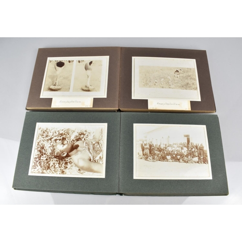 150 - Two Early 20th Century Photograph Albums Detailing African Flora and Fauna, People and Artwork relat... 