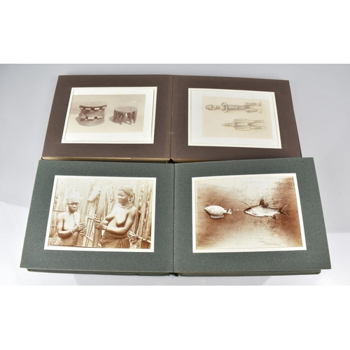 150 - Two Early 20th Century Photograph Albums Detailing African Flora and Fauna, People and Artwork relat... 