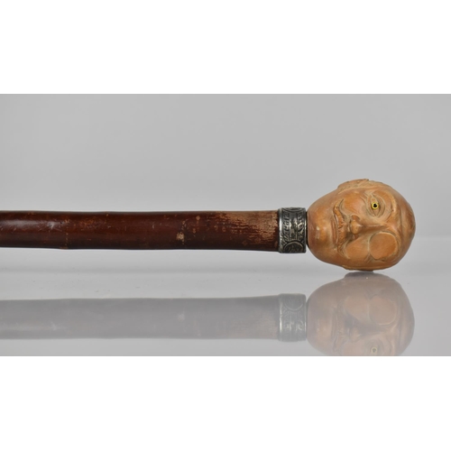 166 - A Novelty Walking Cane with Silver Collar (Birmingham Hallmark) and Carved Head of Moustachiod Gent ... 