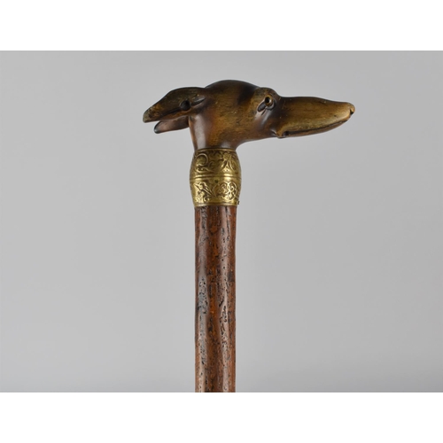 172 - A Lady's Umbrella with Carved Greyhound Head Handle having Glass Eyes, Gilt Metal Collar