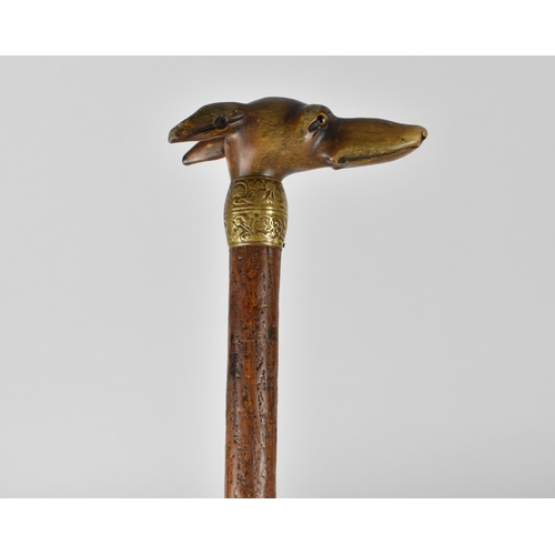 172 - A Lady's Umbrella with Carved Greyhound Head Handle having Glass Eyes, Gilt Metal Collar