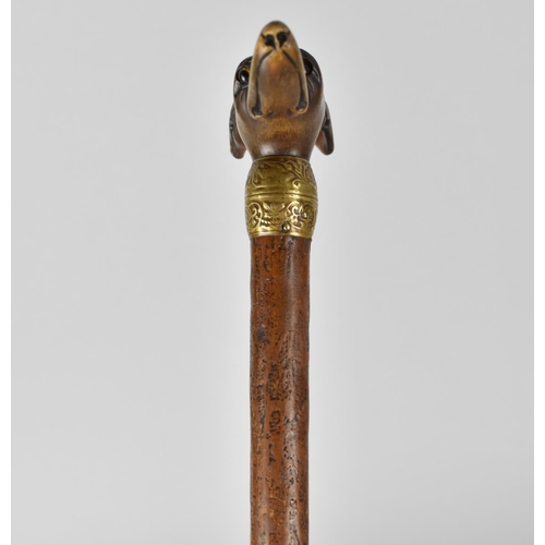 172 - A Lady's Umbrella with Carved Greyhound Head Handle having Glass Eyes, Gilt Metal Collar