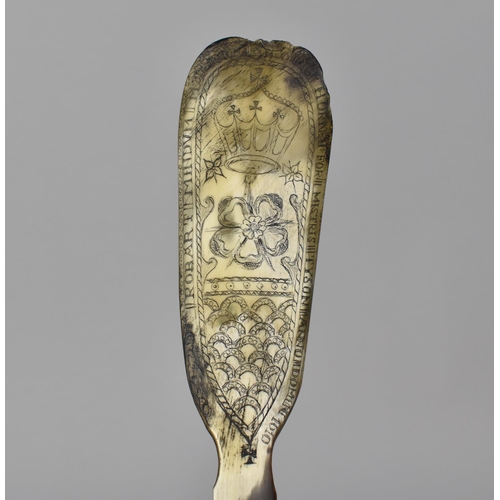 86 - A Cow Horn Shoe Horn Inscribed with Crown, Yorkshire Rose and 'Robert Mindum Made This Shooeing Horn... 