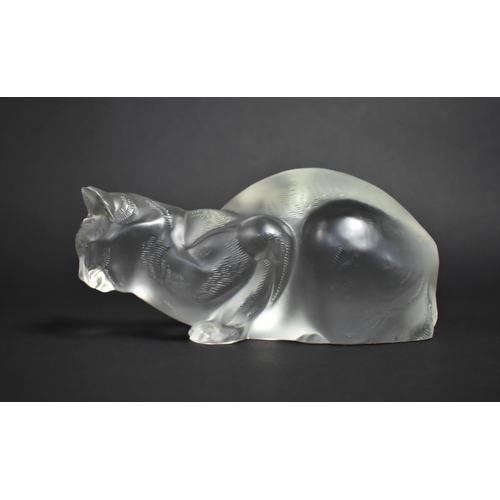 263 - A Large Lalique Frosted Glass Cat, Signed, Condition: Not Perfect with Nibbles, 24cms Long