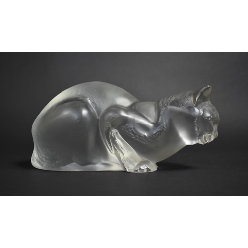 263 - A Large Lalique Frosted Glass Cat, Signed, Condition: Not Perfect with Nibbles, 24cms Long