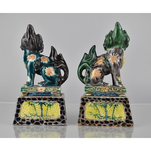 335 - A Pair of Japanese Porcelain Temple Lions on Tapering Plinth Bases decorated in Polychrome Enamels, ... 