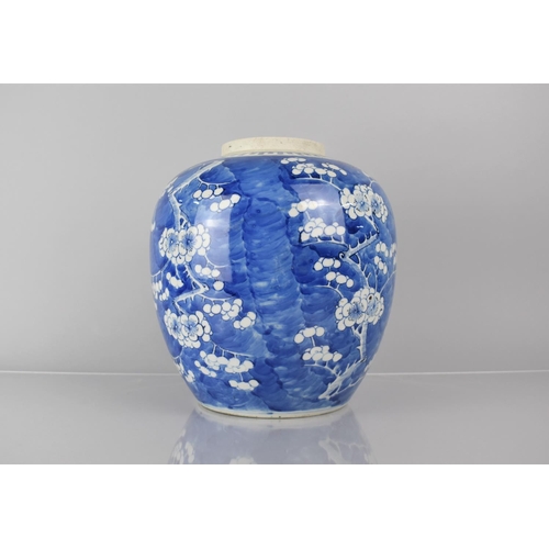 368 - A Large 19th Century Chinese Blue and White PRunus Pattern Ginger Jar, Double Concentric Mark to Bas... 