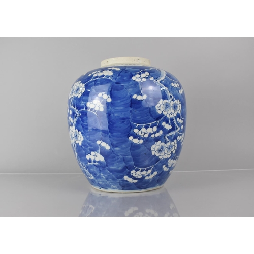 368 - A Large 19th Century Chinese Blue and White PRunus Pattern Ginger Jar, Double Concentric Mark to Bas... 