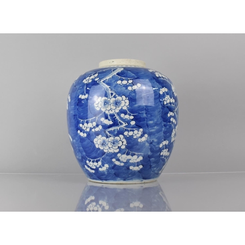 368 - A Large 19th Century Chinese Blue and White PRunus Pattern Ginger Jar, Double Concentric Mark to Bas... 