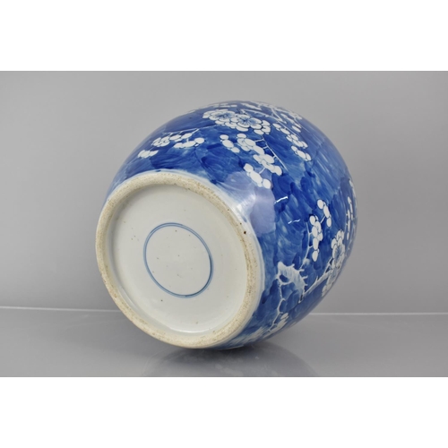 368 - A Large 19th Century Chinese Blue and White PRunus Pattern Ginger Jar, Double Concentric Mark to Bas... 