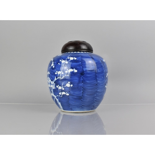 371 - A 19th Century Chinese Blue and White Prunus Pattern Ginger Jar with Double Concentric Mark to Base,... 