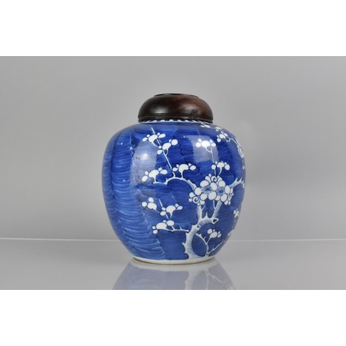 371 - A 19th Century Chinese Blue and White Prunus Pattern Ginger Jar with Double Concentric Mark to Base,... 