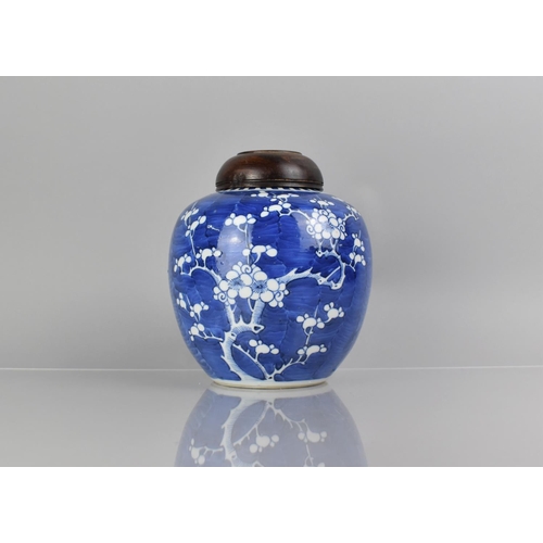 371 - A 19th Century Chinese Blue and White Prunus Pattern Ginger Jar with Double Concentric Mark to Base,... 