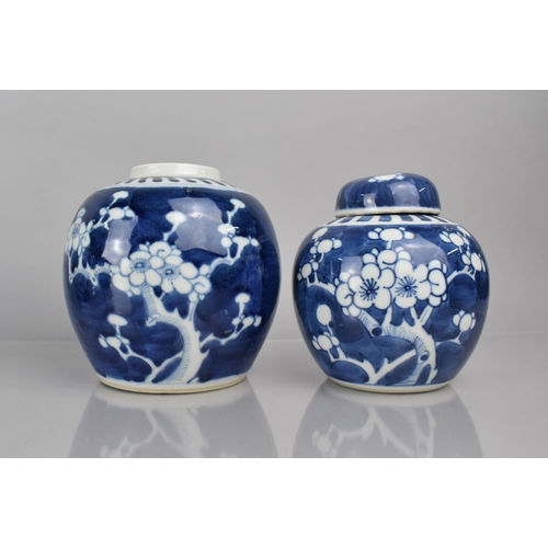 372 - A Collection of Five Various 19th/20th Century Chinese Blue and White Prunus Pattern Ginger Jars, Al... 