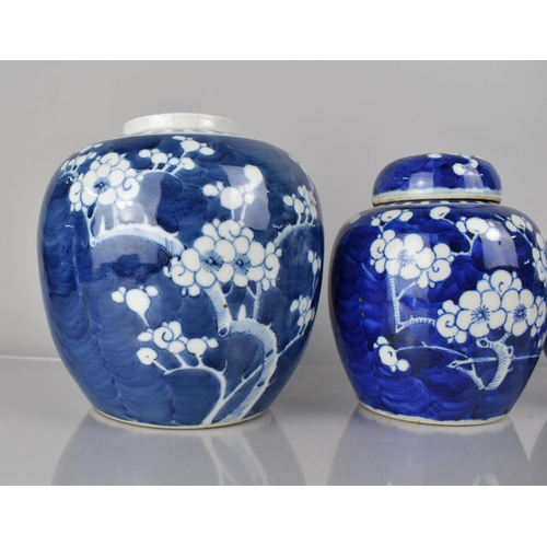 372 - A Collection of Five Various 19th/20th Century Chinese Blue and White Prunus Pattern Ginger Jars, Al... 