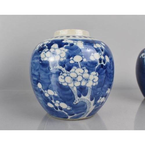 372 - A Collection of Five Various 19th/20th Century Chinese Blue and White Prunus Pattern Ginger Jars, Al... 