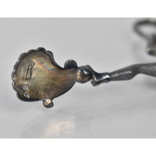 217 - A Pair of Victorian Silver Novelty Sugar Nips in the Form of a Harlequin Suspended from Two Coiled S... 