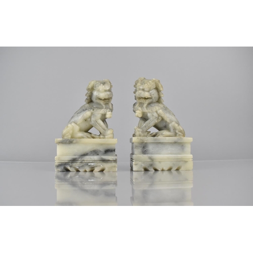 459 - A Pair of Chinese Soapstone Temple Lions on Plinth Bases, 14.5cms High