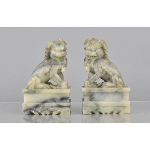 459 - A Pair of Chinese Soapstone Temple Lions on Plinth Bases, 14.5cms High