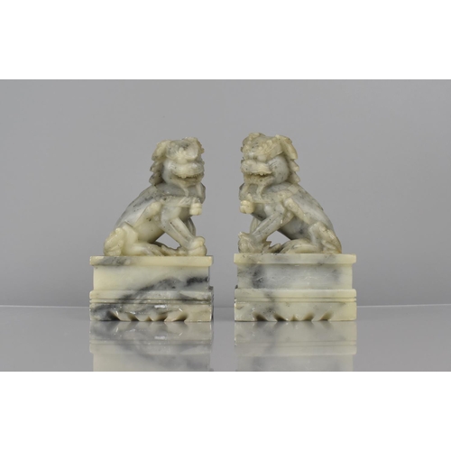 459 - A Pair of Chinese Soapstone Temple Lions on Plinth Bases, 14.5cms High