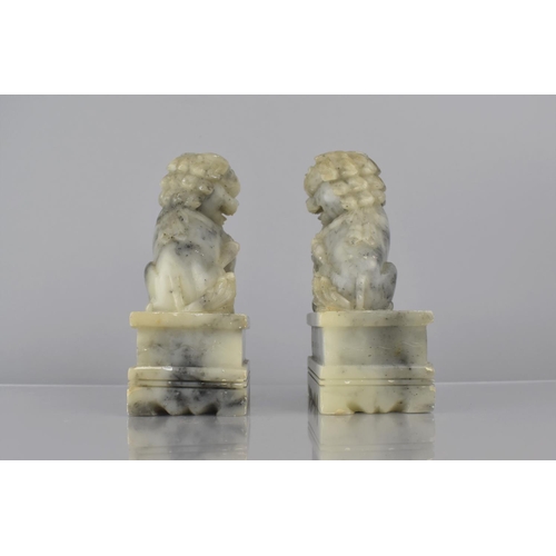 459 - A Pair of Chinese Soapstone Temple Lions on Plinth Bases, 14.5cms High