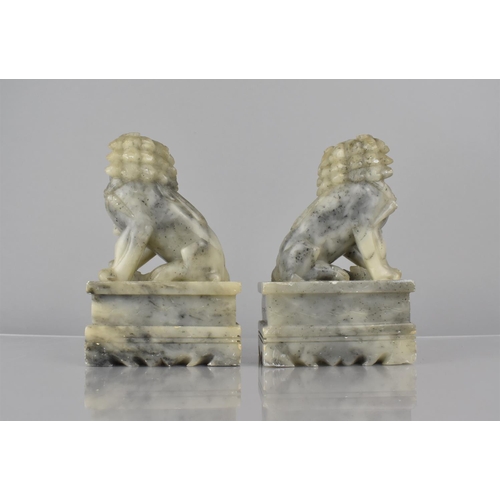 459 - A Pair of Chinese Soapstone Temple Lions on Plinth Bases, 14.5cms High