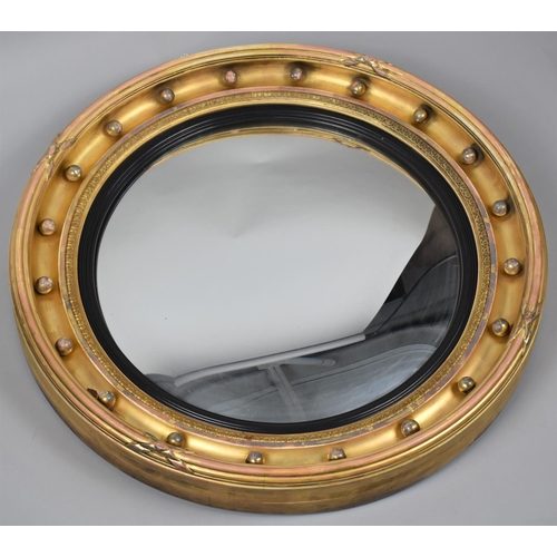 472 - A Regency Circular Gilt Framed Convex Wall Mirror, 60cm Diameter