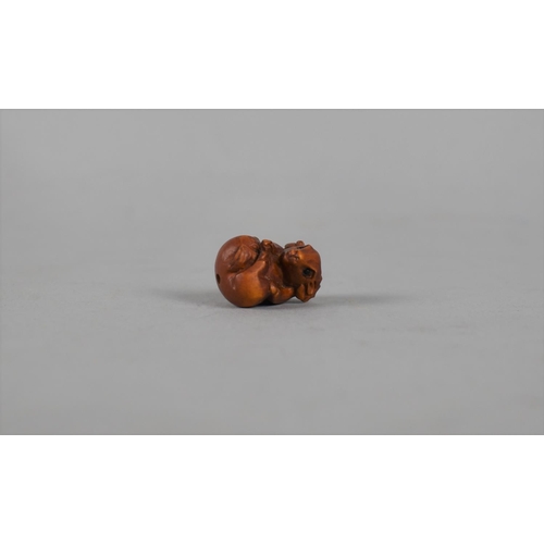 208 - A Small Carved Wooden Netsuke in the Form of a Mouse