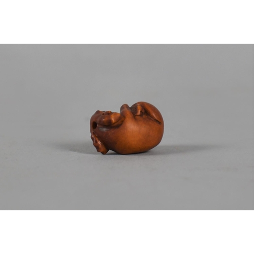 208 - A Small Carved Wooden Netsuke in the Form of a Mouse