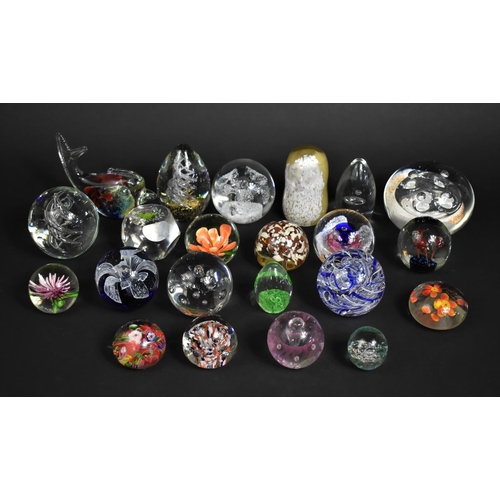 251 - A Collection of Various Glass Paperweights to Comprise Millefleur Type Examples, Swirls, Dolphin Etc