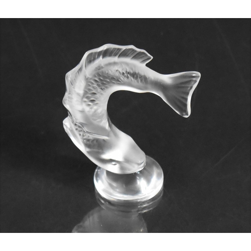 301 - A Lalique Glass Fish, Signed to Circular Foot, 8cm high