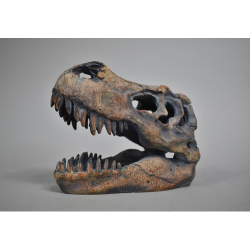 56 - A Modern Resin Model of a T Rex Skull, 20cm long