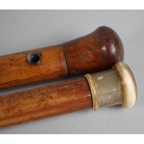 81 - Two Vintage Malacca Walking Canes with Horn Handles